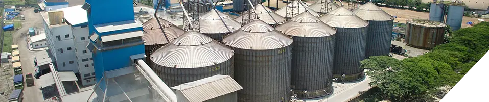 Tereos FKS Indonesia